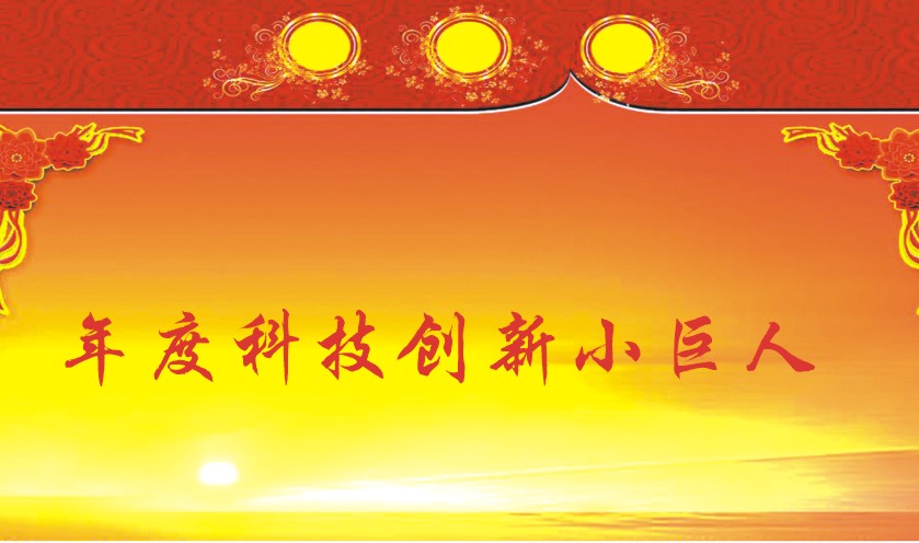 年度科技创新小巨人