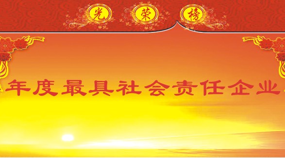 年度最具社会责任企业